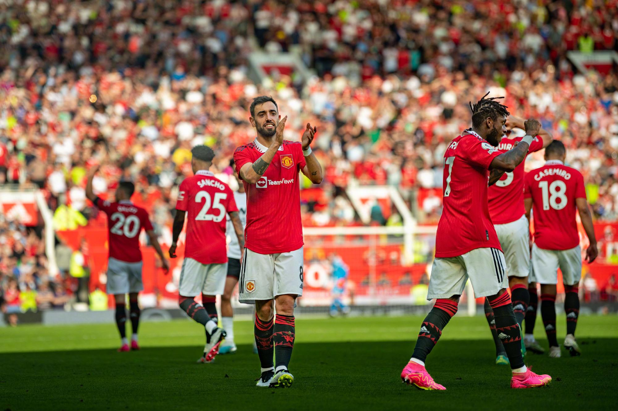 恒大酒店集团坚果插画创作